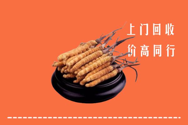 高价求购：迪庆州回收散虫草