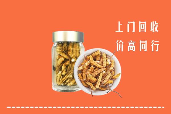 迪庆州回收冬虫夏草